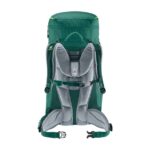 Deuter Alpinegreen-forest/paprika-mandarin Fox 40 - Image 2